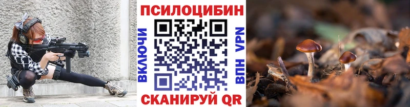 Галлюциногенные грибы Psilocybe  Купить  Новозыбков 
