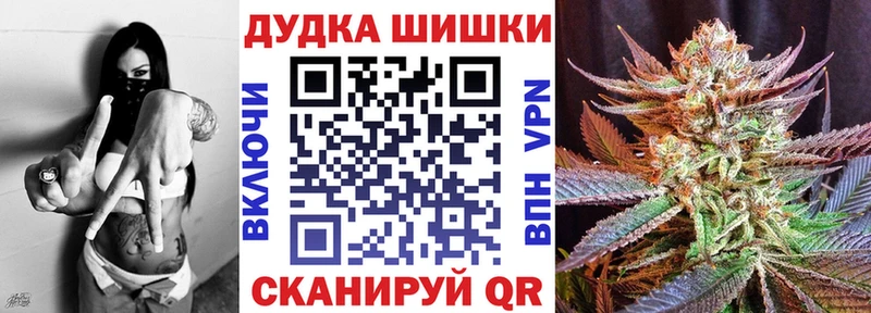 Купить  Новозыбков  Канабис индика 